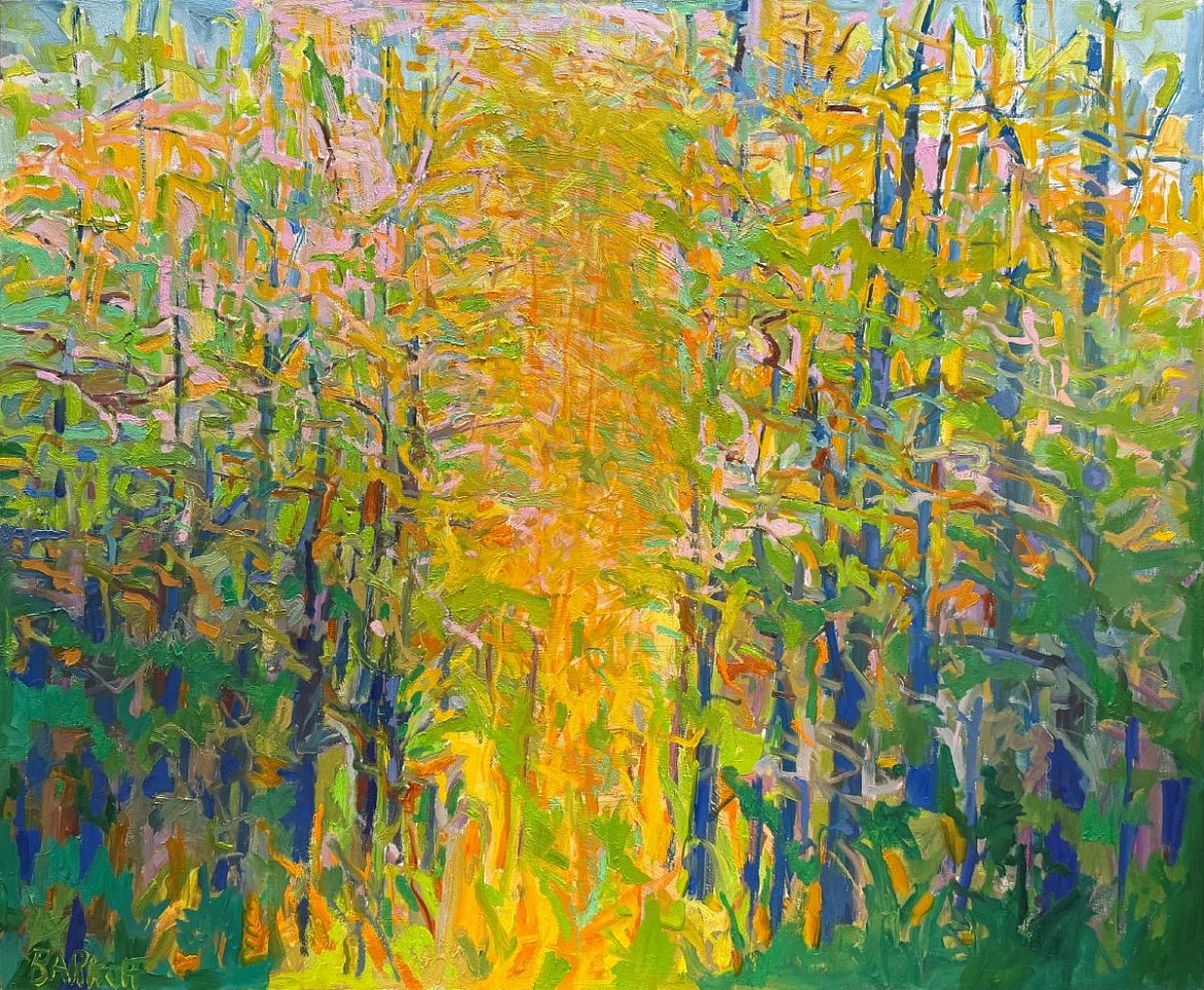 Ira Barkoff, Light Penetrates, 2023
oil on canvas, 48 x 60 in. (121.9 x 152.4 cm)
IB240508