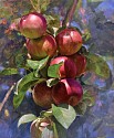 Peter E. Poskas III, Apple Cluster
2019, oil on panel