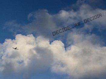 Work: Debranne Cingari Decide in 3 Languages