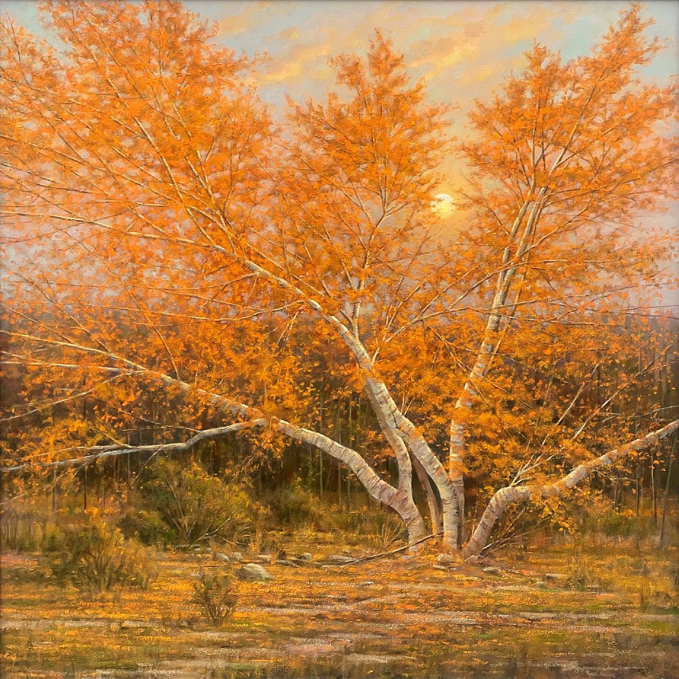 Frank Corso, Fallen Leaves
oil on canvas, 48 x 48 in. (121.9 x 121.9 cm)
FP240104