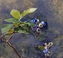 Peter E. Poskas III, Blueberries, Ripening
2021, oil on panel