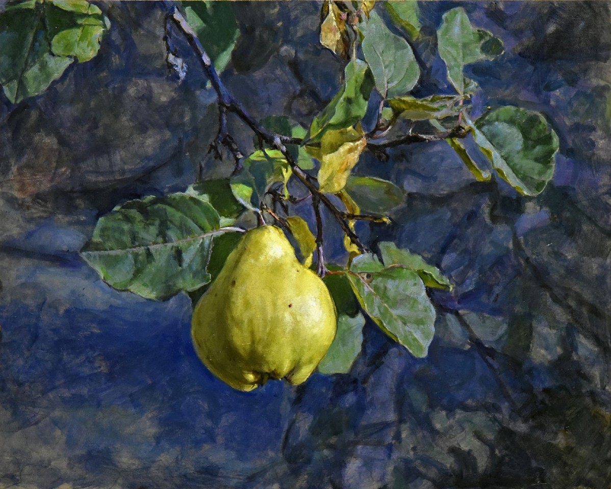 Peter E. Poskas III, Solitary Quince, 2021
oil on panel, 17 1/4 x 21 1/2 in. (43.8 x 54.6 cm)
PPIII250206