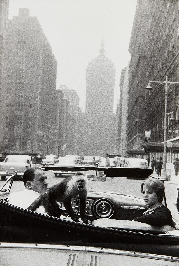 Garry Winogrand, Park Avenue, 1959
gelatin silver print, 13 x 8 3/4 in. (33 x 22.2 cm)
GW250401
