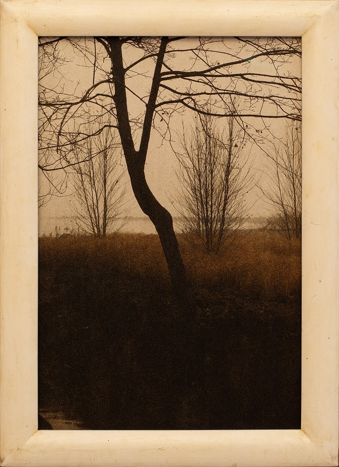 Jefferson Hayman, Maps Drawn In Branches, 2025
Varnished pigment print paired with an artist made frame, 13 x 9 in. (33 x 22.9 cm)
JH250406