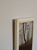 maps drawn in branches detail
