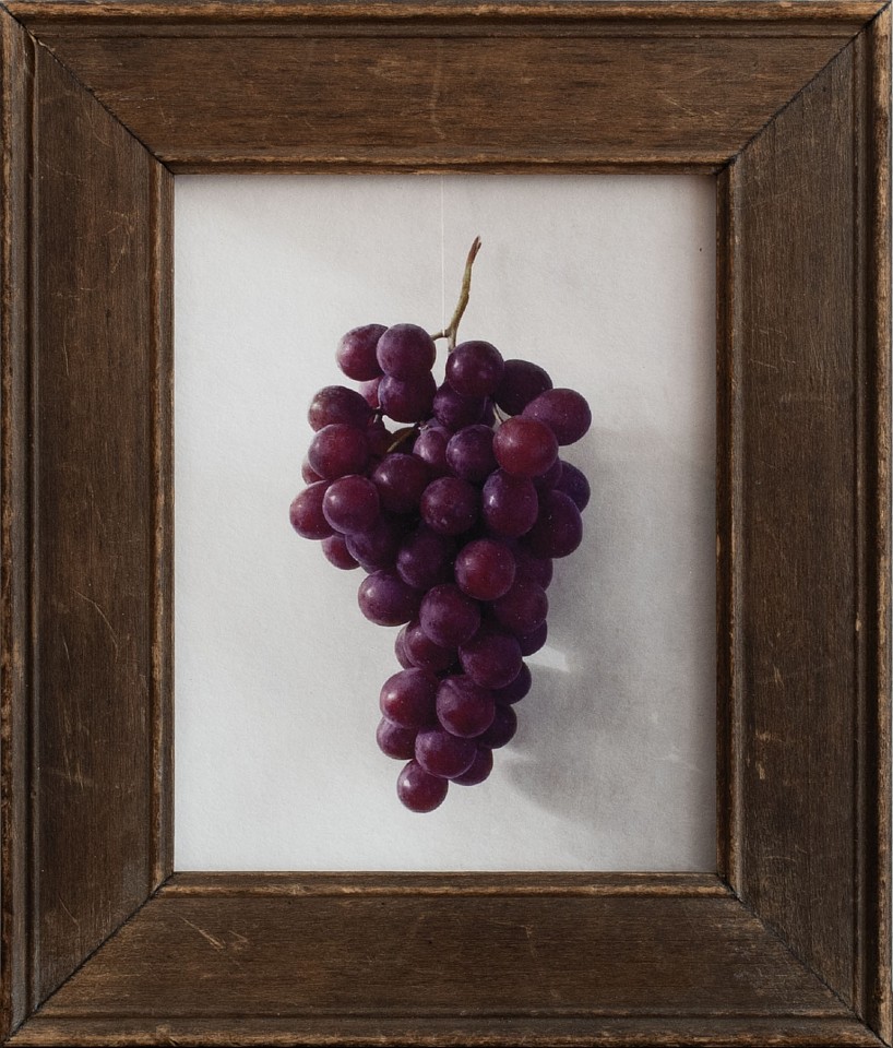 Jefferson Hayman, Still Life With Grapes, 2025
Varnished pigment print paired with a vintage frame, 6 x 5 in. (15.2 x 12.7 cm)
JH250411