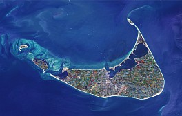 Debranne Cingari Biography