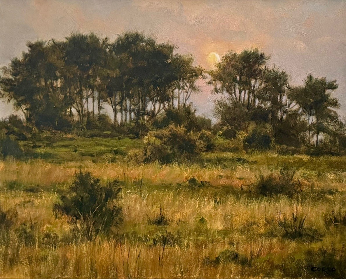 Frank Corso, Evening's Approach, 2025
oil on canvas, 16 x 20 in. (40.6 x 50.8 cm)
FC250702