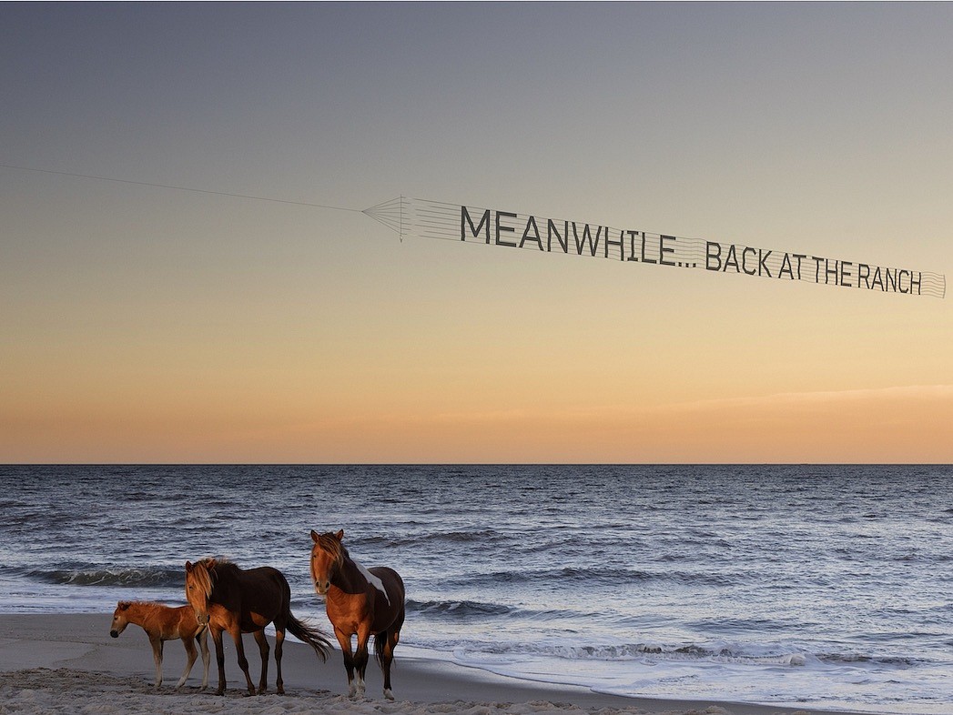 Debranne Cingari, Meanwhile Back at the Ranch, 2025
Infused dye sublimated on aluminum