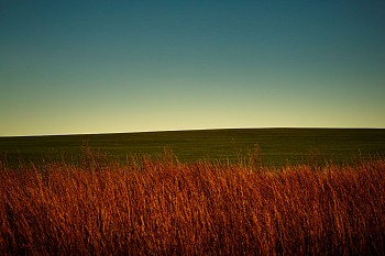 Debranne Cingari -&nbsp;Debranne Cingari Beneath the Horizons Breath