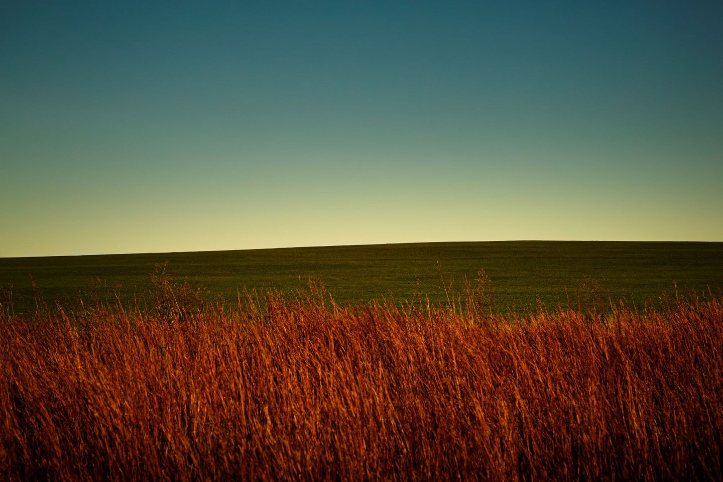 Debranne Cingari, Beneath the Horizons Breath, 2025
Dye sublimated on aluminum