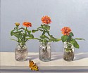 David Henry, Three Zinnias in Glass Jars
2025, oil on birch panel