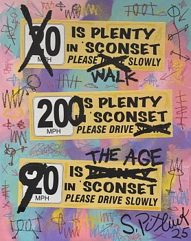 Stephen Pitliuk - Stephen Pitliuk 20 is Plenty in Sconset