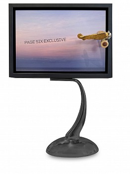 Work: Debranne Cingari Elevated Gossip