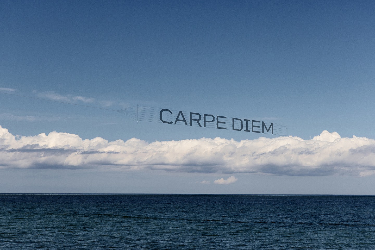 Debranne Cingari, Carpe Diem, Ed. 1/25, 2025
Infused dye sublimated on aluminum, 8 x 12 in. (20.3 x 30.5 cm)