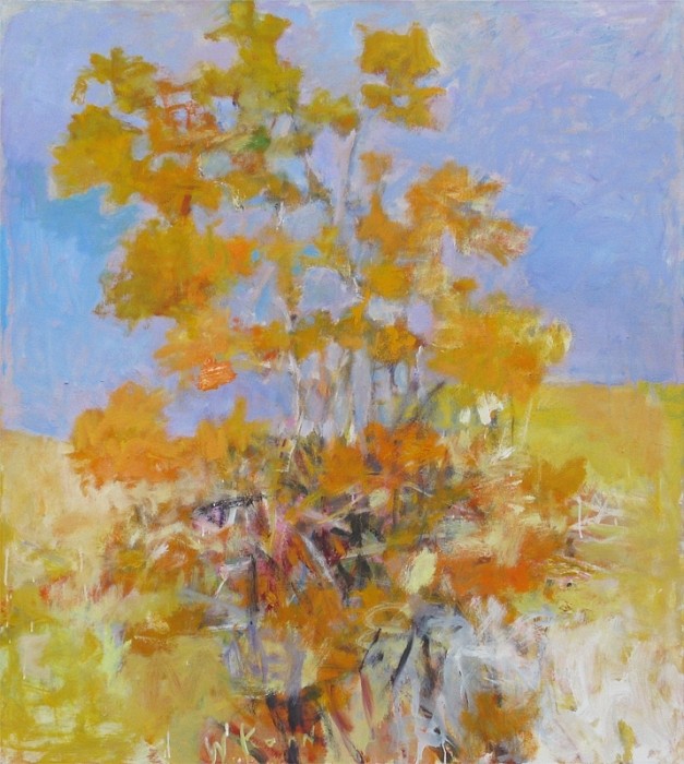 Wolf Kahn, Fall Tree, 2004
oil on canvas, 44 x 40 in. (111.8 x 101.6 cm)
AY10954_