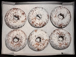 Robert E. Zappalorti Biography