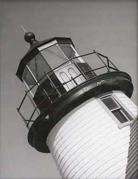 Debranne Cingari -&nbsp;Debranne Cingari Simplicity, Ed. 1/5