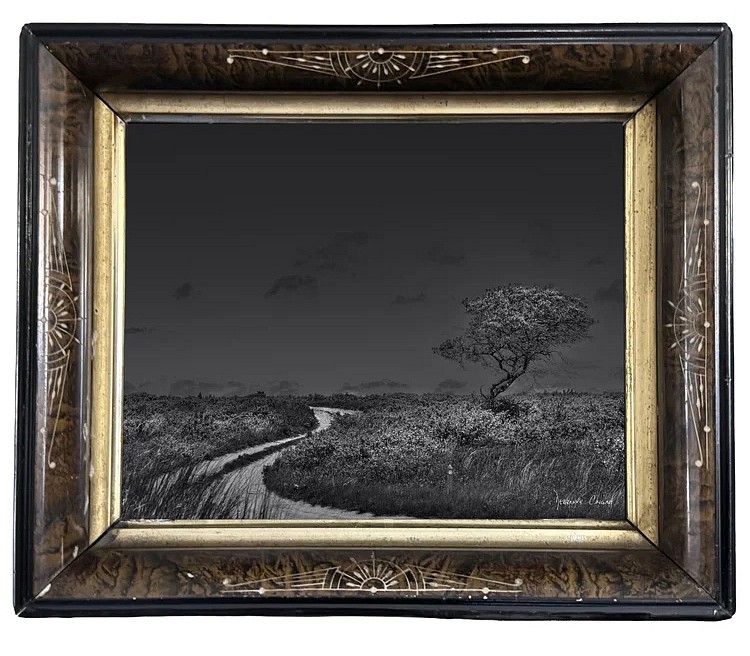 Debranne Cingari, Moonlight, 2026
archival pigment print, 10 1/2 x 8 1/2 in. (26.7 x 21.6 cm)
DC260408