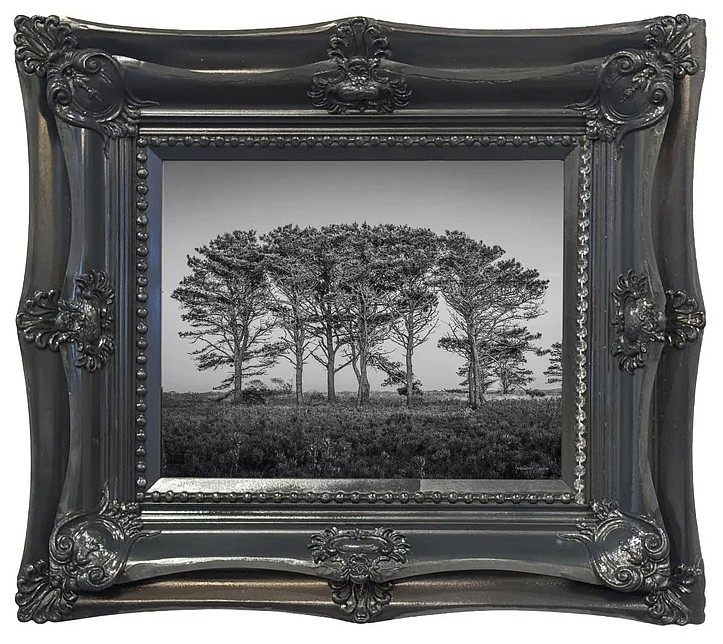 Debranne Cingari, Rooted Together, 2026
archival pigment print, 15 1/2 x 19 1/2 in. (39.4 x 49.5 cm)
DC260410