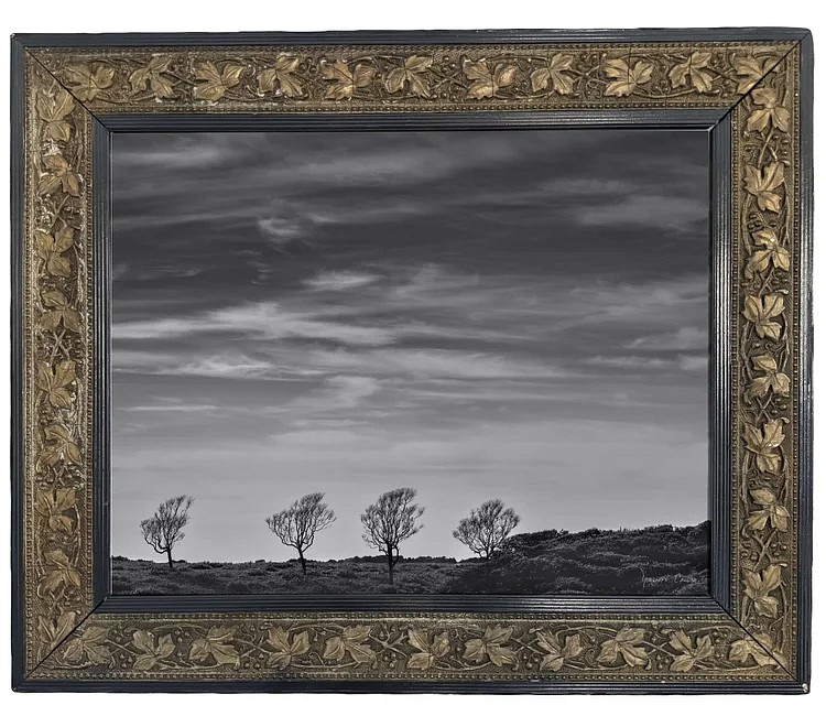 Debranne Cingari, Silent Companions, 2026
archival pigment print, 15 x 9 1/4 in. (38.1 x 23.5 cm)
DC260412