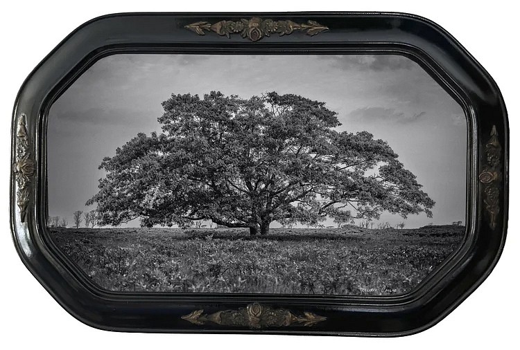 Debranne Cingari, Stillness on the Serengeti, 2026
archival pigment print, 11 1/4 x 19 in. (28.6 x 48.3 cm)
DC260411