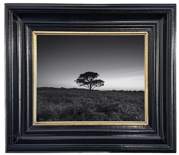 Debranne Cingari, The Keeper, 2026
archival pigment print, 9 3/4 x 10 5/8 in. (24.8 x 27 cm)
DC260421