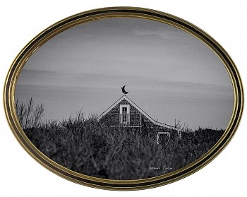 Debranne Cingari -&nbsp;Debranne Cingari The Moon Keeper