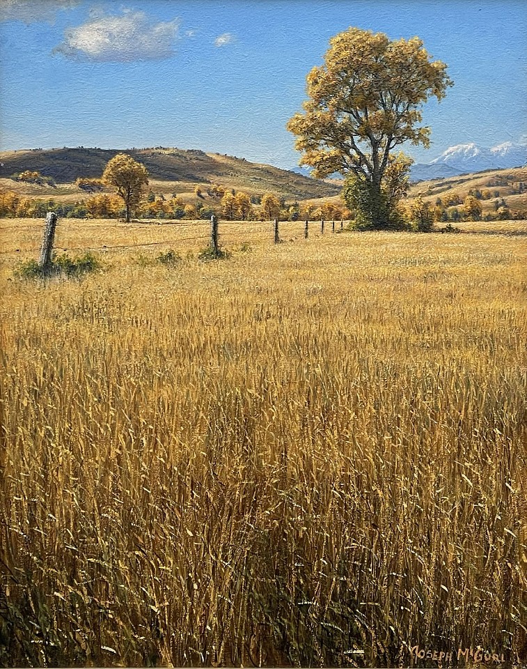 Joseph McGurl, Amber Waves of Grain
oil on canvas, 20 x 16 in. (50.8 x 40.6 cm)
JM260407CF