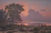 jmtwilight unframed