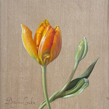 Artist:&nbsp;David Henry