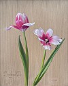 David Henry, Rembrandt Tulip
2026, oil on birch panel