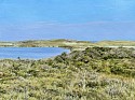 Lori Zummo, Miacomet Dunes
2026, oil on panel