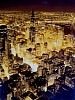 new york gold