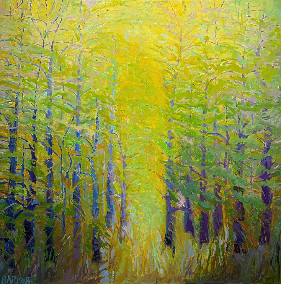 Ira Barkoff, Forest Series: Sun Glow, 2026
oil on canvas, 48 x 48 in. (121.9 x 121.9 cm)
IB261001